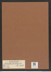Auliscus subreticulatus (Gr.) Rattr. (de-Toni-Nr.: Genus 171, Species 4379) Zeichnungen Sammlung Grunow Mappe 04329 (Herbarium_W_Grunow_drawings_Folder_04329)